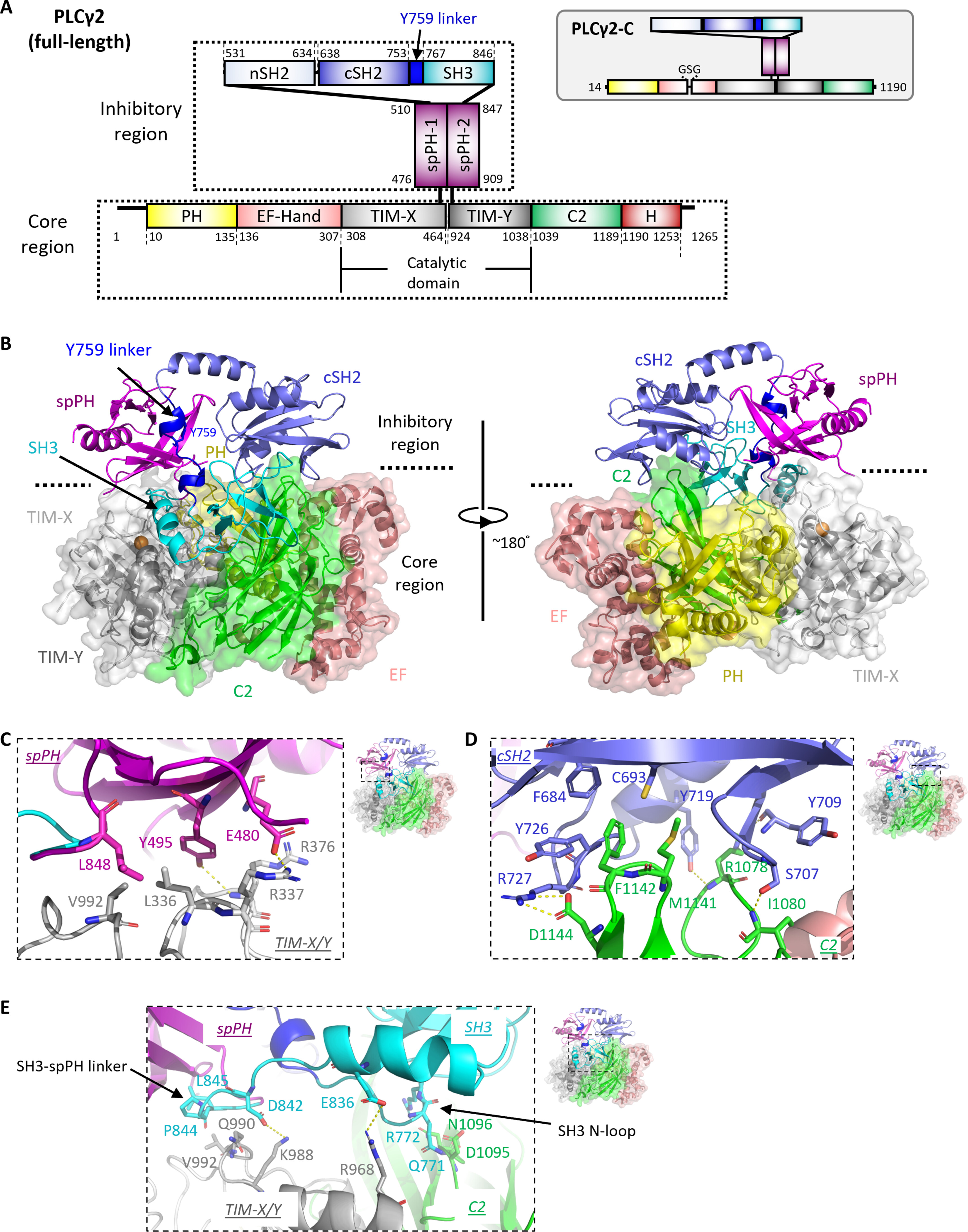sciadv.adn6037-f1.jpg