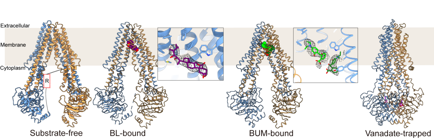 1758768631707413.png 061749199870751715.png