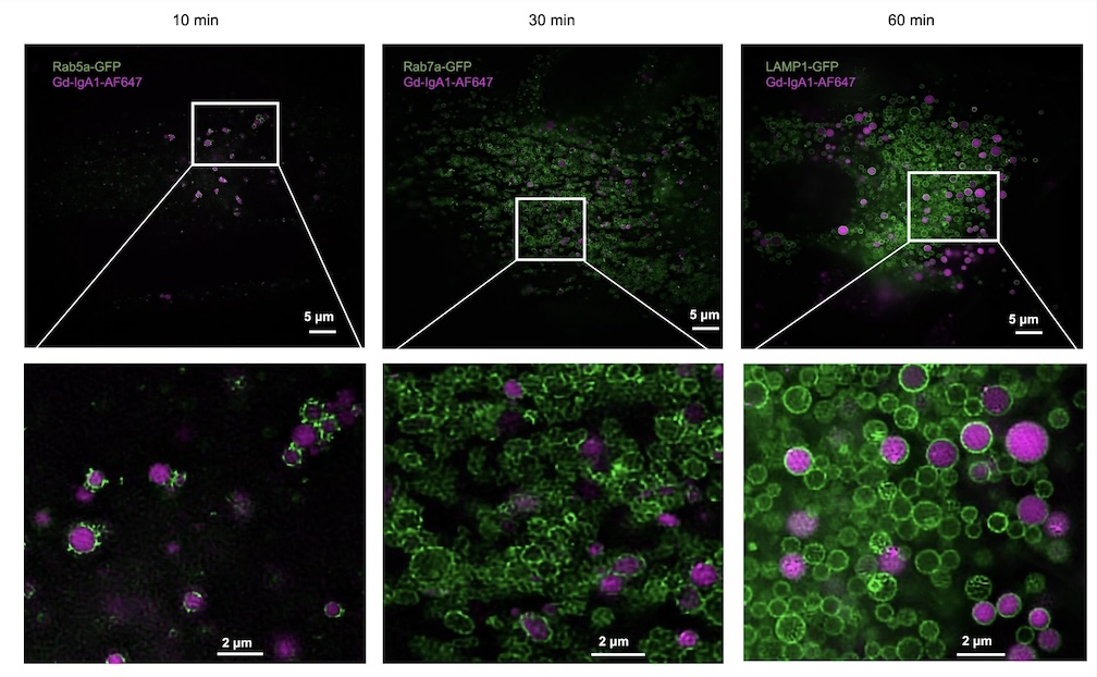 1758769014560463.jpg 未命名.jpg